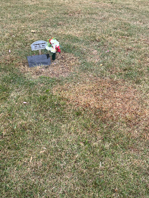 Flower delivery for Susan McCorristin