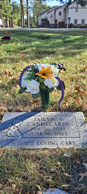 Flower delivery for Jailyn Amelia Candelario