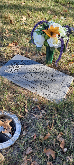 Flower delivery for Jailyn Amelia Candelario