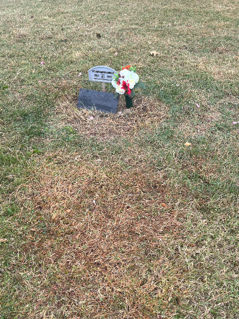 Flower delivery for Susan McCorristin