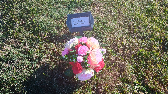 Flower delivery for Mandy Henderson