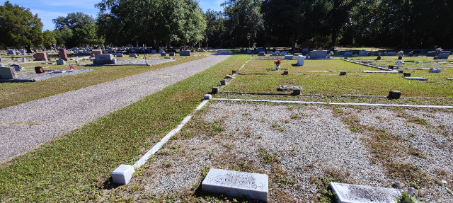 Flower delivery for Maxine Fisher Swaine