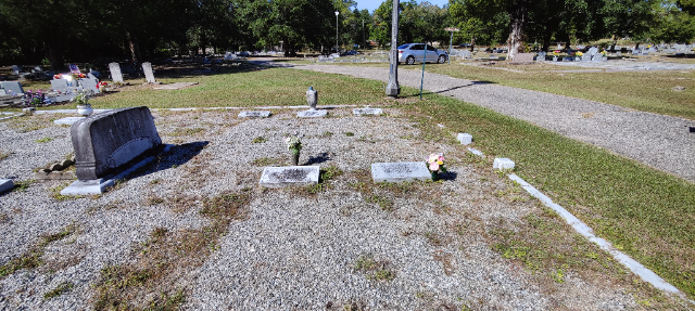 Flower delivery for Maxine Fisher Swaine