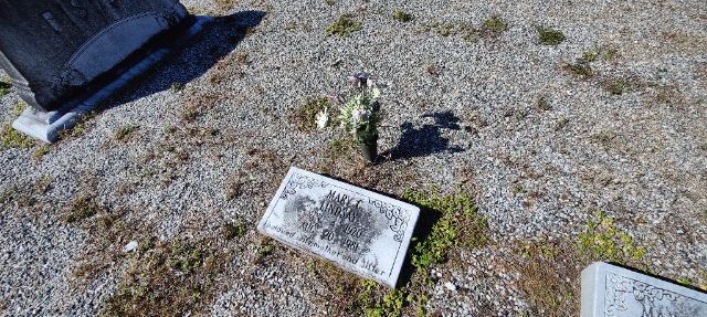 Flower delivery for Maxine Fisher Swaine