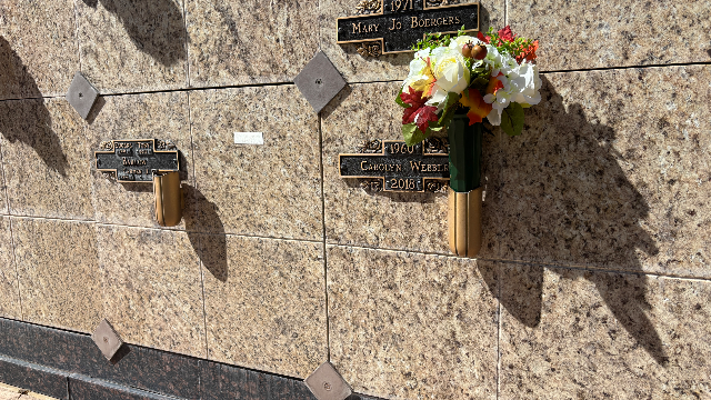 Flower delivery for Carolyn Webber