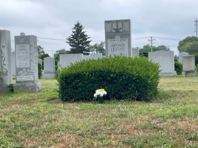 Flower delivery for Arthur Levine