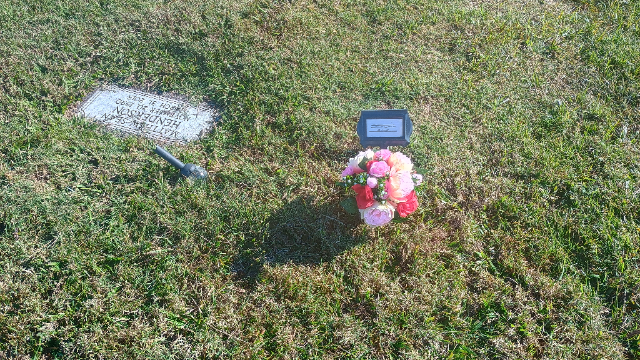 Flower delivery for Mandy Henderson