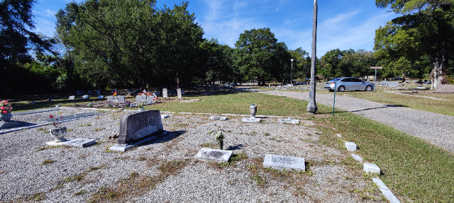 Flower delivery for Maxine Fisher Swaine