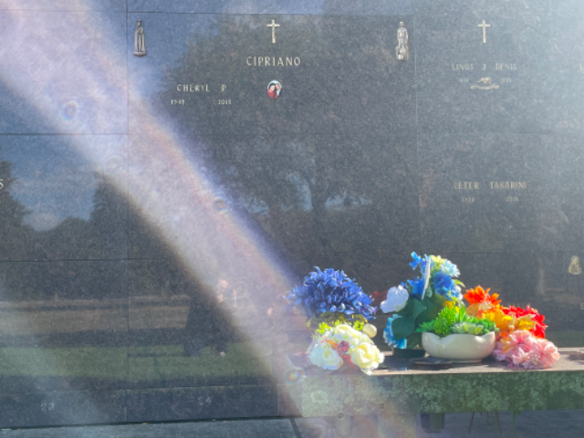 Flower delivery for Cheryl P. Cipriano