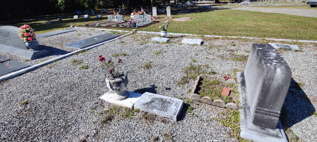 Flower delivery for Maxine Fisher Swaine