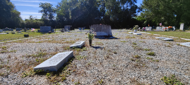 Flower delivery for Maxine Fisher Swaine