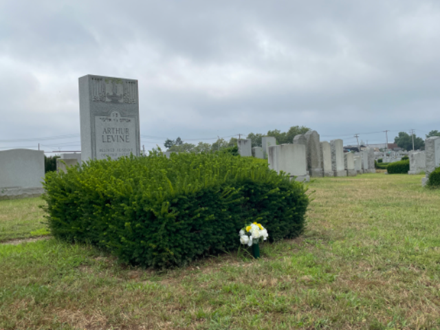 Flower delivery for Arthur Levine