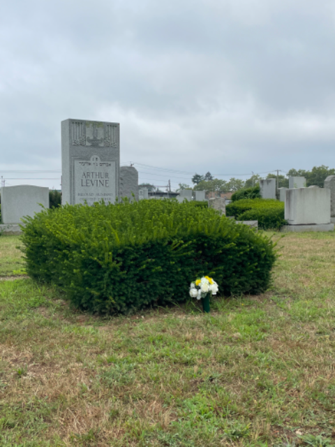 Flower delivery for Arthur Levine