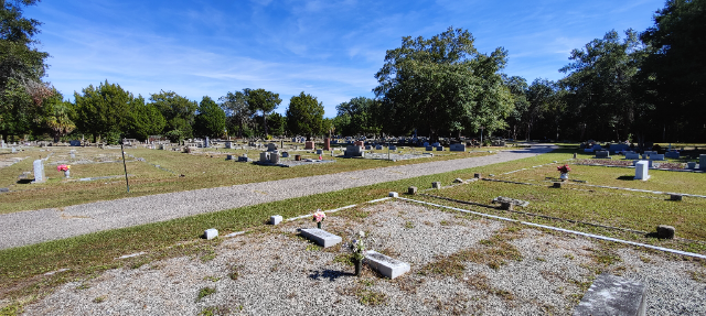 Flower delivery for Maxine Fisher Swaine