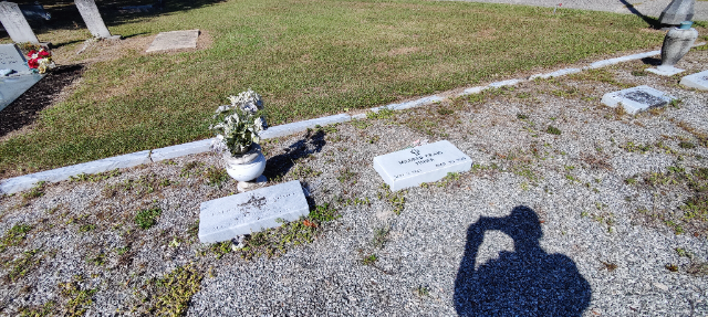 Flower delivery for Maxine Fisher Swaine