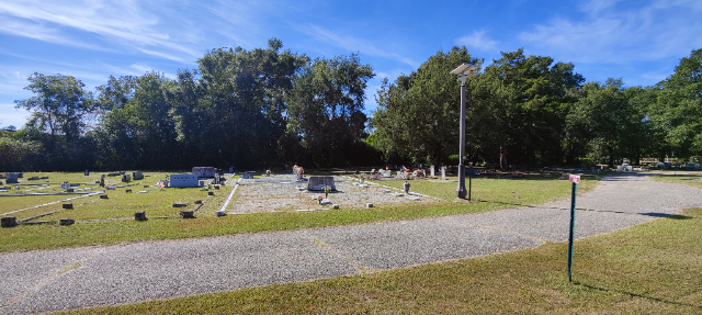 Flower delivery for Maxine Fisher Swaine
