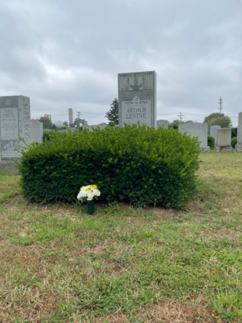 Flower delivery for Arthur Levine