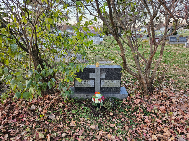 Flower delivery for Radu Tudorica