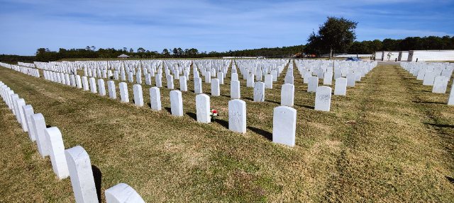 Flower delivery for James T Hanley