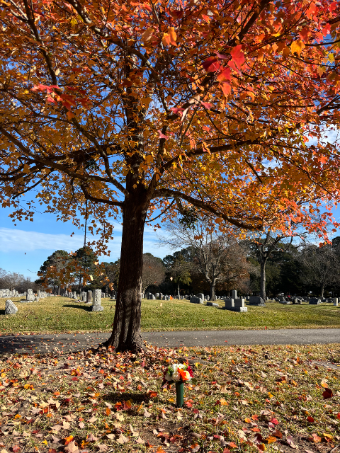 Flower delivery for David Arnold Blessing