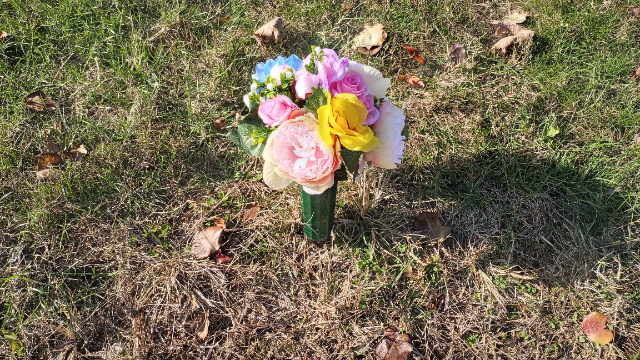 Flower delivery for Melissa Louise Nolan