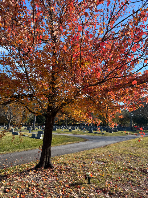 Flower delivery for David Arnold Blessing
