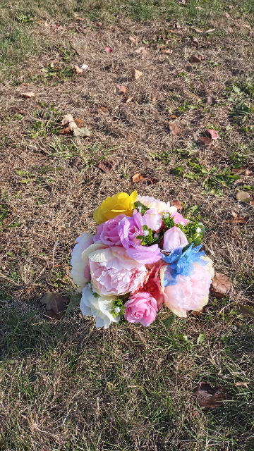 Flower delivery for Melissa Louise Nolan