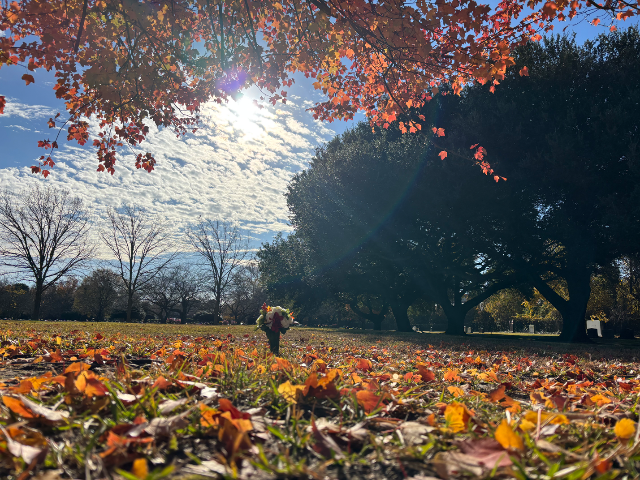 Flower delivery for David Arnold Blessing