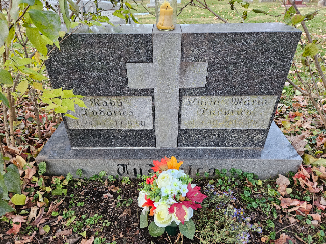 Flower delivery for Radu Tudorica