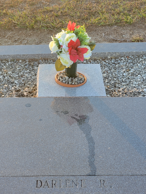 Flower delivery for Darlene Thompson