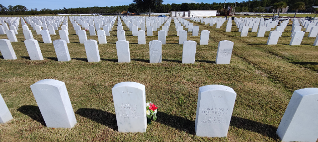 Flower delivery for James T Hanley
