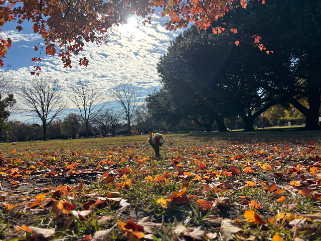 Flower delivery for David Arnold Blessing
