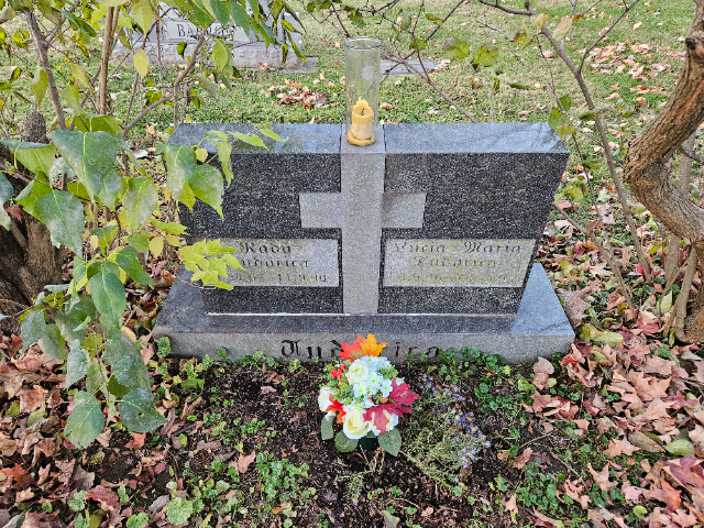 Flower delivery for Radu Tudorica