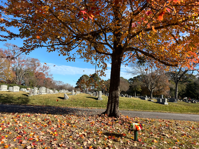 Flower delivery for David Arnold Blessing