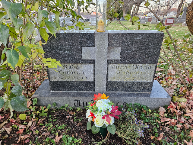 Flower delivery for Radu Tudorica