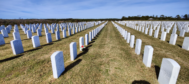 Flower delivery for James T Hanley