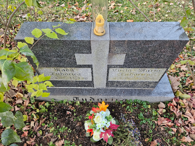 Flower delivery for Radu Tudorica