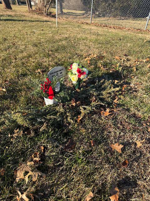 Flower delivery for Susan McCorristin