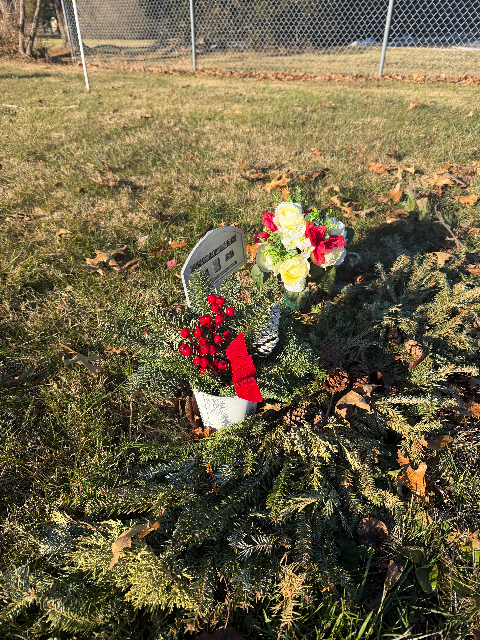 Flower delivery for Susan McCorristin