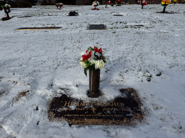 Flower delivery for Hemmat Ragheb