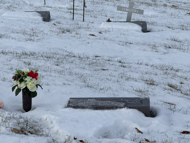 Flower delivery for Kerste Johnson