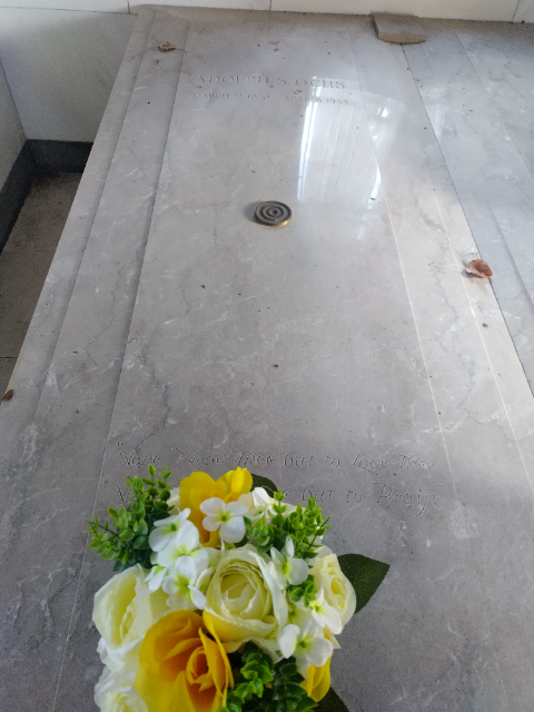 Flower delivery for Adolph Simon Ochs