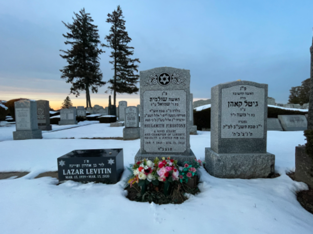 Flower delivery for Shulamith Firestone