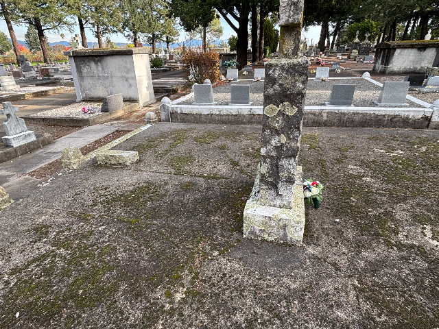 Flower delivery for Stephen Jackse