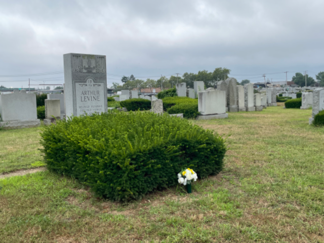 Flower delivery for Arthur Levine