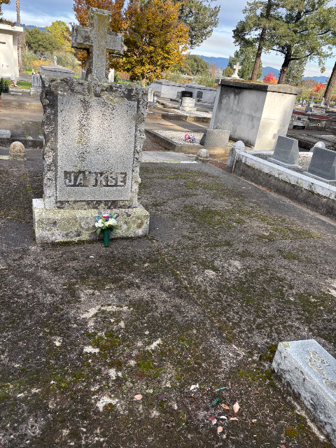 Flower delivery for Stephen Jackse