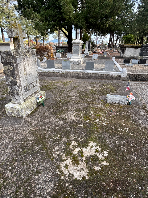 Flower delivery for Stephen Jackse