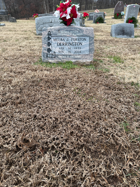 Flower delivery for Melba June/Forston Derrington