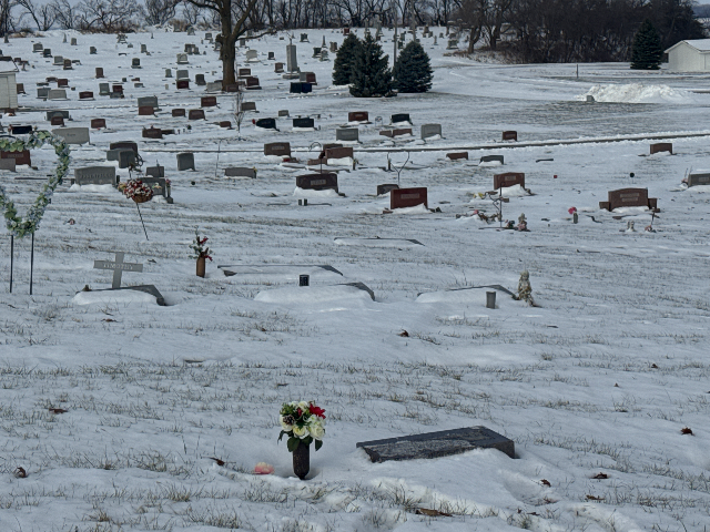 Flower delivery for Kerste Johnson