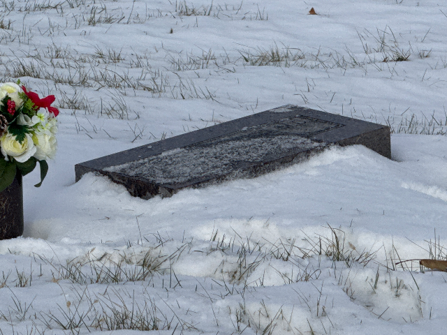 Flower delivery for Kerste Johnson